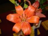 DSC01120