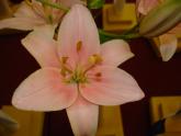 DSC01150