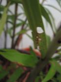 IMG_0920